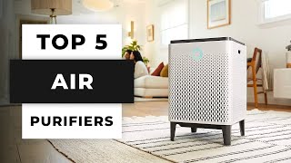 TOP 5 Best Air Purifiers (2024)