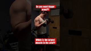 Big arm workout talk about Mr Olympia