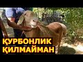 ҚУРБОНЛИК ҚИЛМАГАНЛАР ЭШИТИНГ АСТАҒФИРУЛЛОХ курбонлик хакида