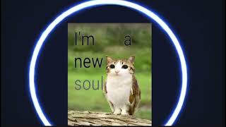 Meowl (AGGRESSIVE GAMING / GYM PHONK REMIX) 