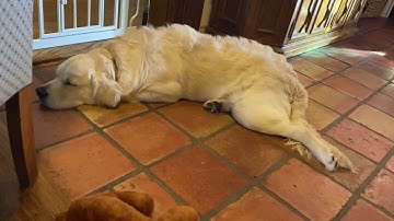 Capturing calm around the house