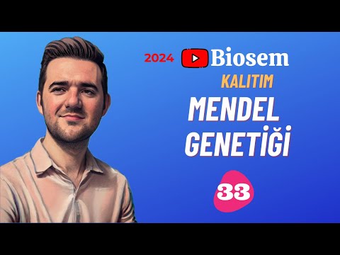 Mendel Genetiği | 39 Günde TYT Biyoloji Kampı-33 | 10. Sınıf Biyoloji Kampı-6 | 2024