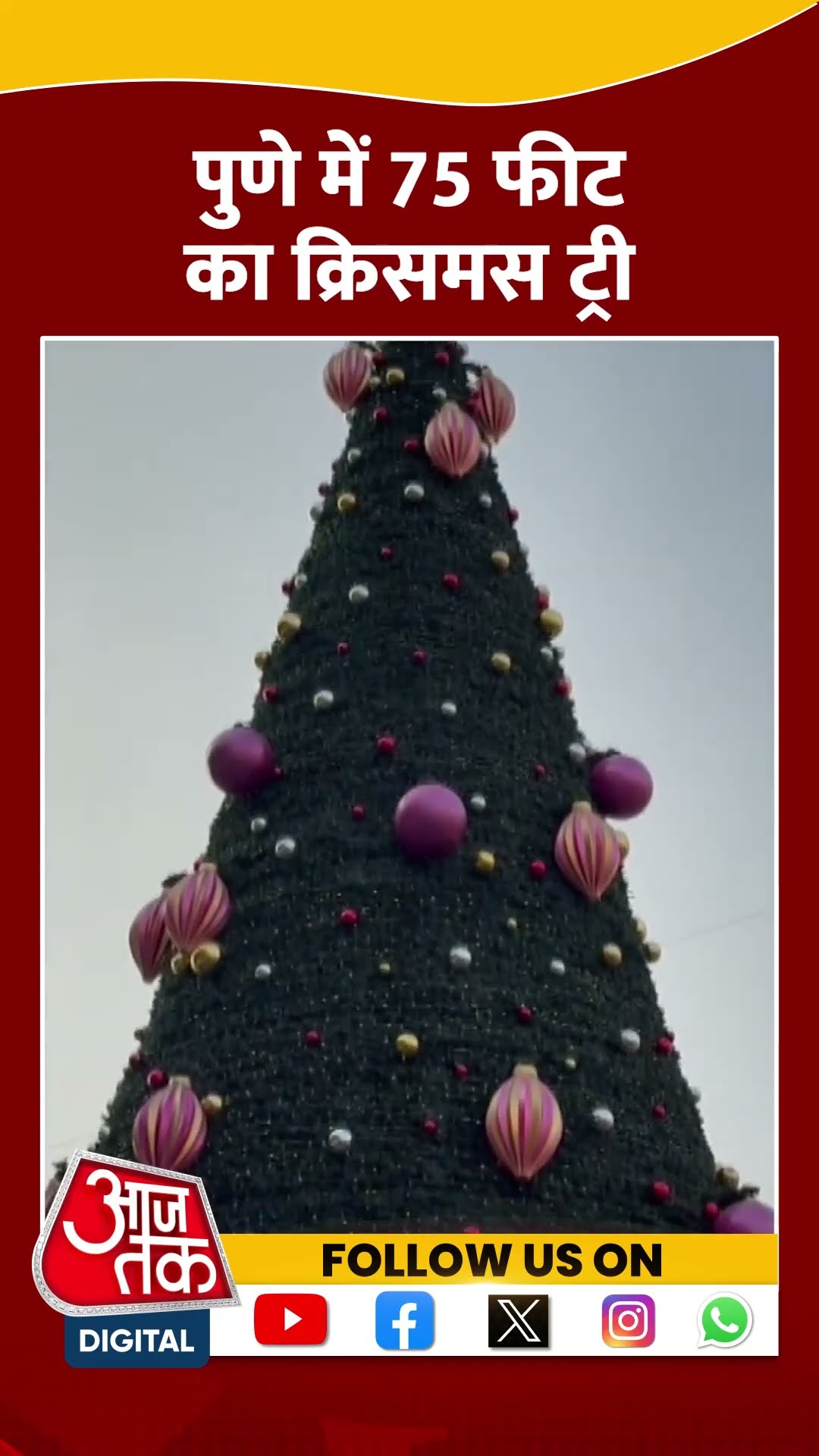 Christmas Day 2024: Pune में 75 फीट का Christmas tree | #christmastree #christmasday #aajtakshorts