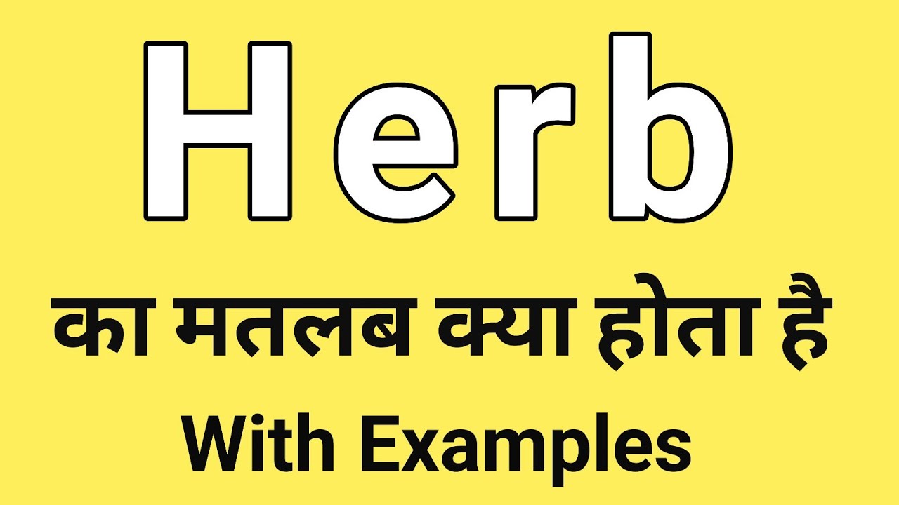 Herb Meaning In Hindi Herb Ka Matlab Kya Hota Hai Word Meaning 