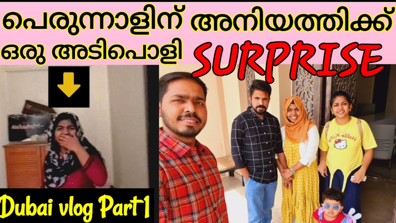 the surprise visit meaning in malayalam