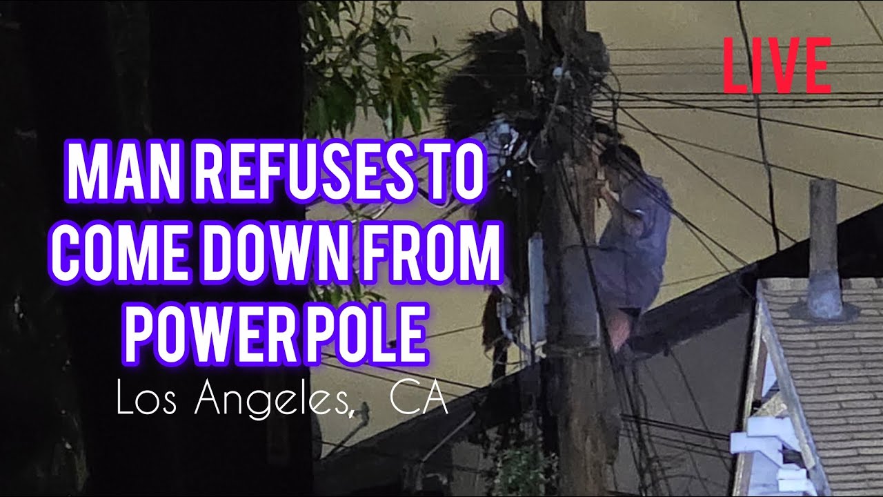 Man Climbed Power Pole and Refuses to come down. South Los Angeles ...