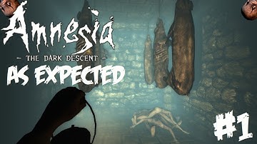 Amnesia: As Expected Part 1 - Sexy Torso Lied To Me