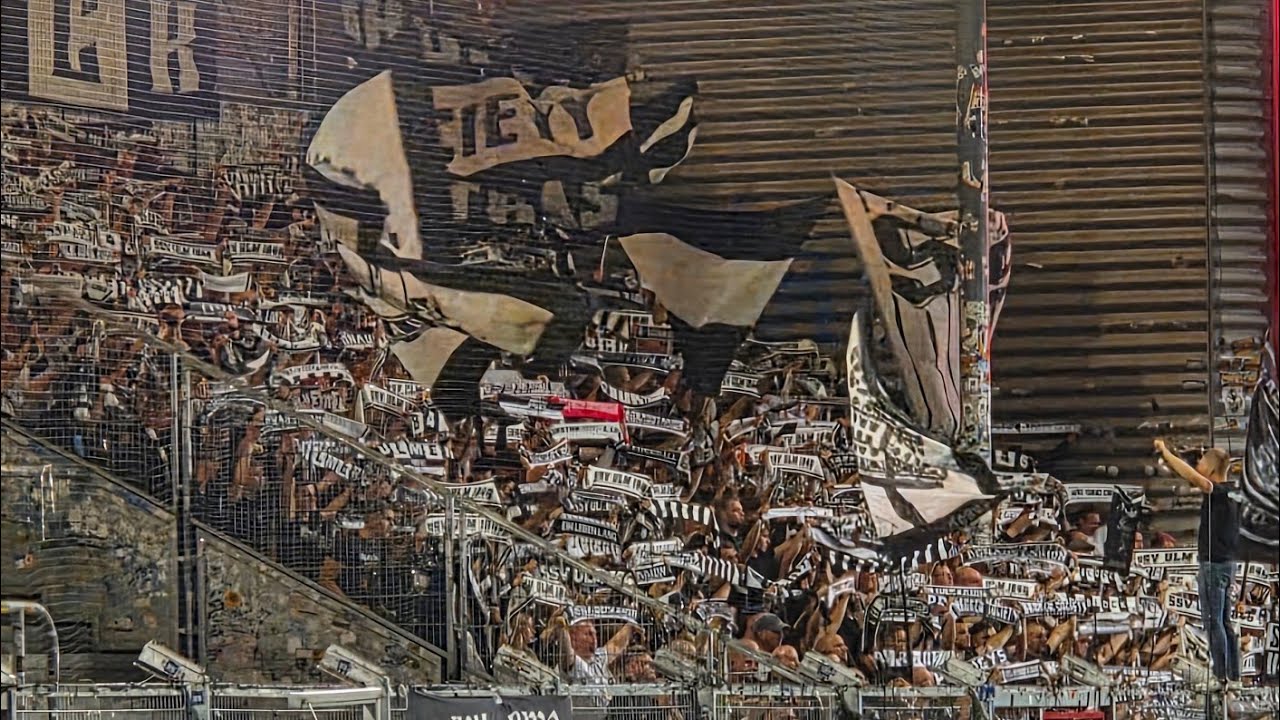 03.08.2025 SV Wehen Wiesbaden - SSV Ulm 3:1, Intro & Support 