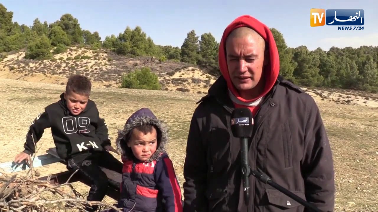 أم البواقي: قساوة الطبيعة تدفع الصحراوي للإعتماد على عربة الدواب لجمع الحطب