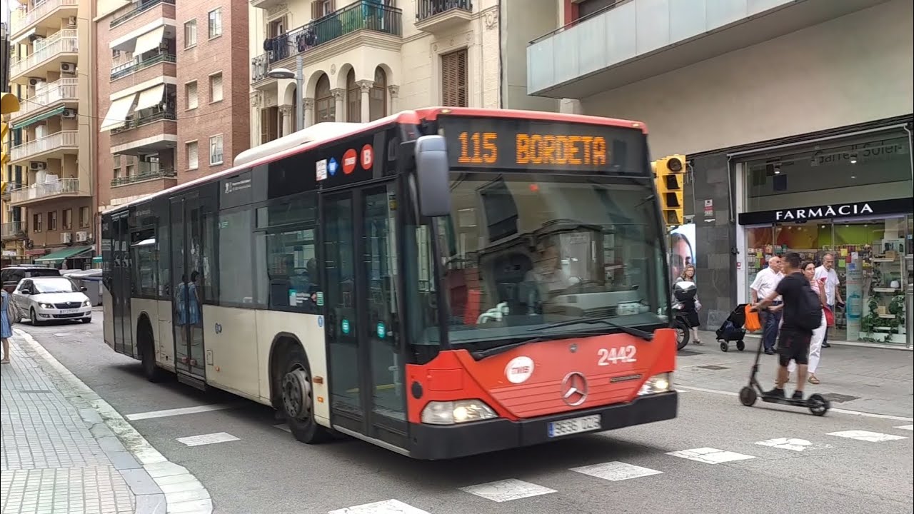 Autob s 2442 TMB Mercedes Benz O530 Citaro L nea 115 Barrio De La autob-s-2442-tmb-mercedes-benz-o530-citaro-l-nea-115-barrio-de-la
