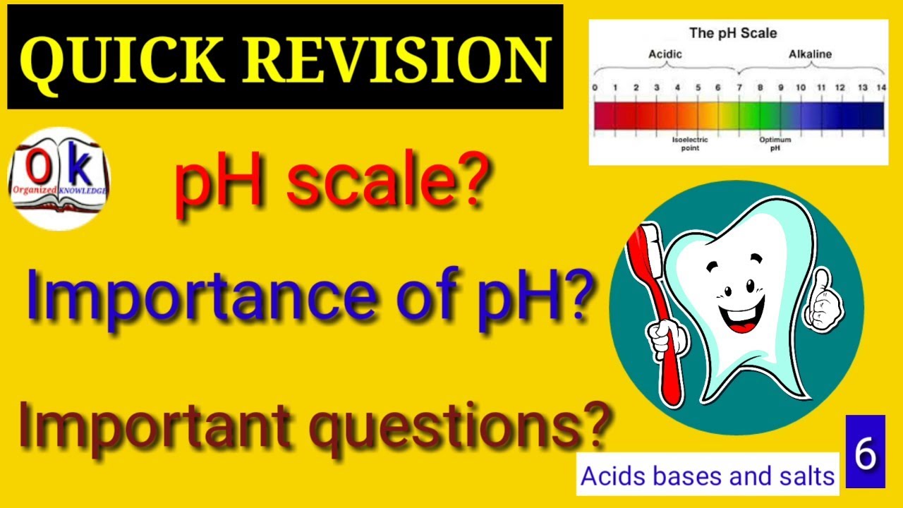 What is pH scale, importance of pH, important questions related to PH