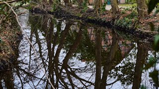 Die Wieste - Von Stuckenborstel Nach Sottrum