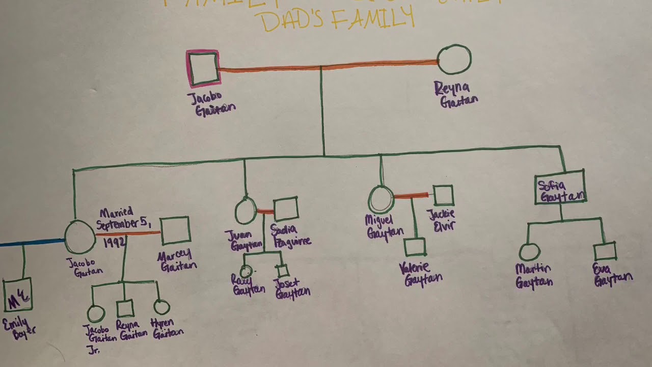 Emily Boyer’s Family Tree