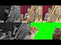 「猫ミーム」チューバで演奏してみた