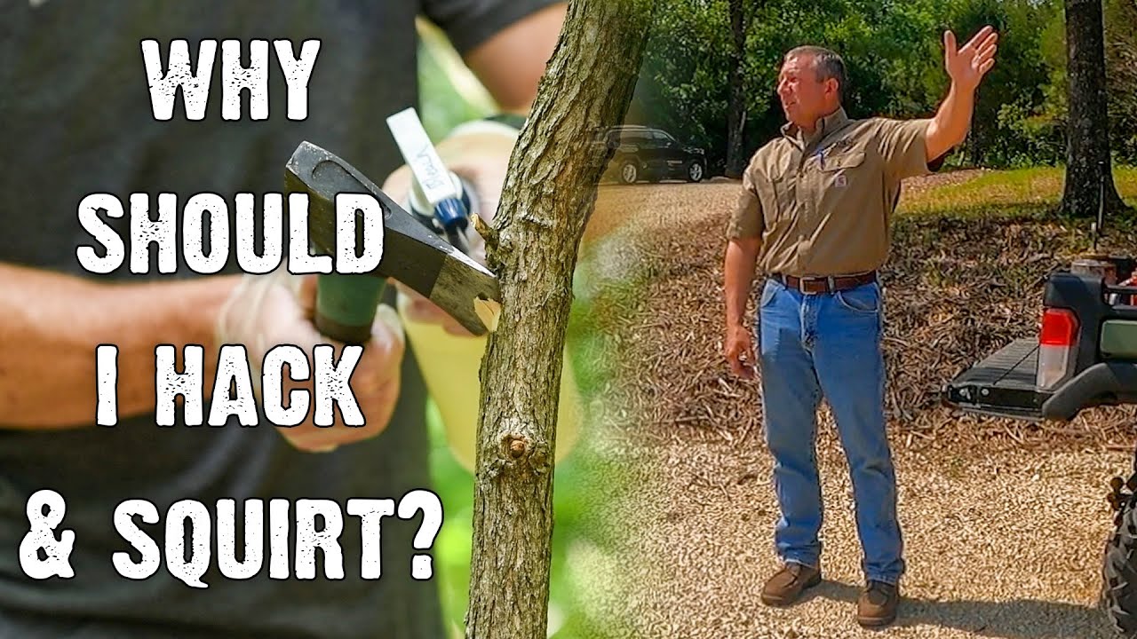 Acorn Forestry joined us during Field Day & shared some great