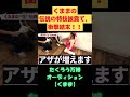 くままの伝説特技披露でたくろう衝撃！！#熊元プロレス#くまま #たくろう#万博