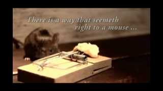 Teen Challenge A Mouse Tale