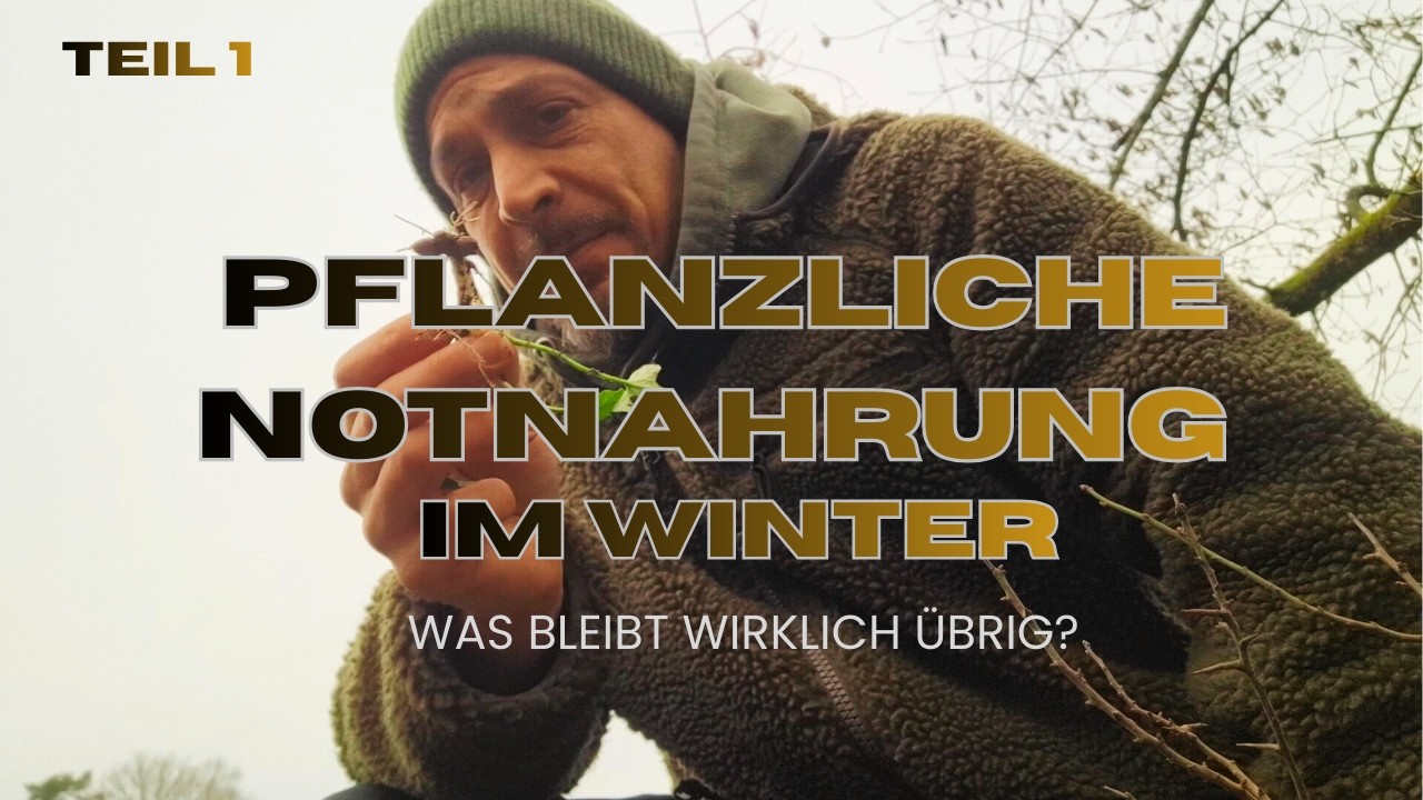 Teil 1  Pflanzliche Notnahrung im Winter  - Was bleibt wirklich übrig?