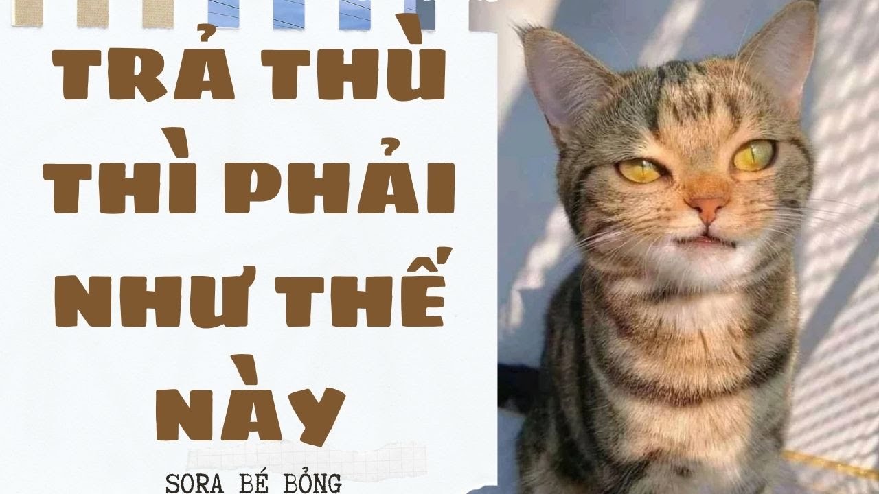 [Truyện Audio ] [FULL] TRẢ THÙ THÌ PHẢI NHƯ THẾ NÀY || Sora Bé Bỏng