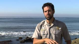 Sea Star Wasting Syndrome Killing Thousands of Starfish