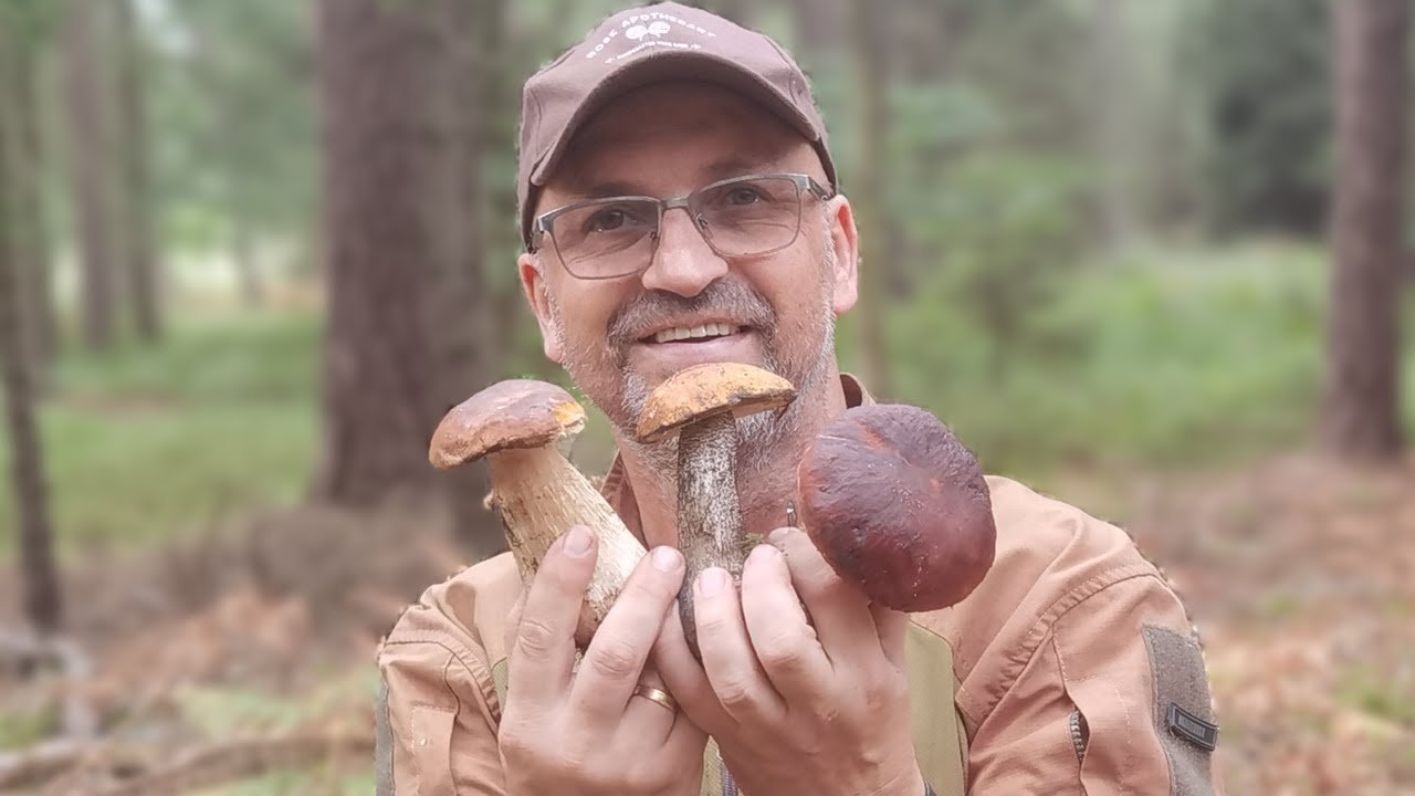 🍄 Niespodzianka w lesie – spotkanie ze żmiją i wysyp małych borowików!