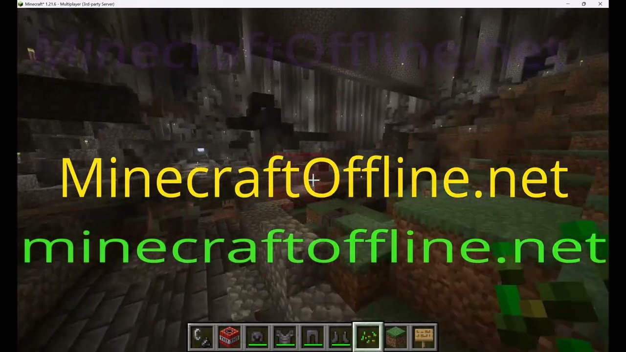 minecraft lifesteal anarchy server 1.21.11