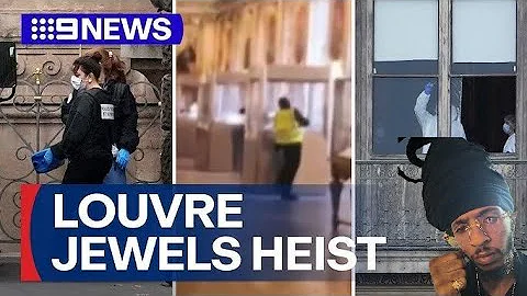 WATCH: New video appears to show Louvre heist suspect in the act