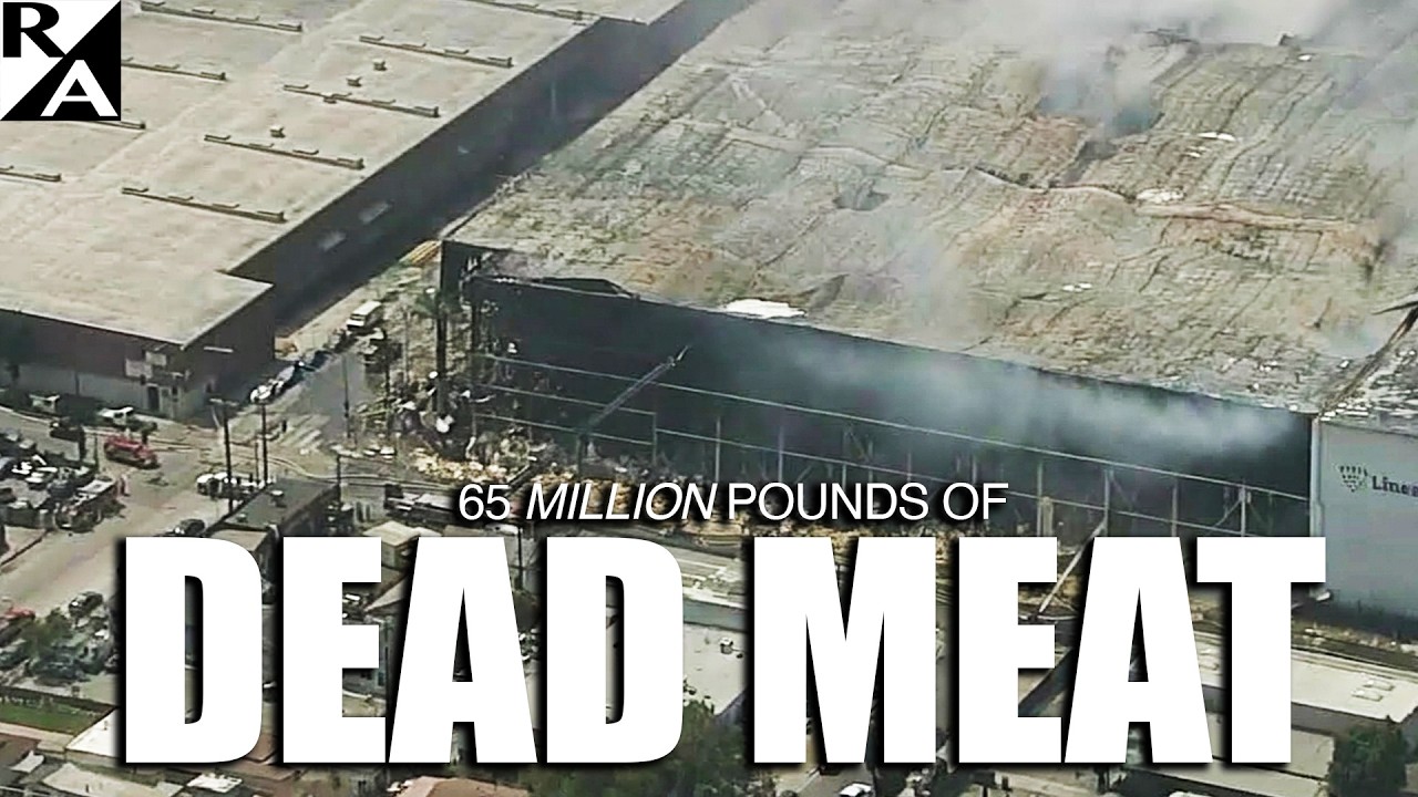 65 MILLION Pounds of DEAD MEAT