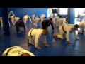 WarmUp for Jiu-Jitsu - billscottbjj (point pleasant, nj)