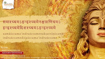 Rudri Path | Adhyay-8 | Tutorial | Chapter-8 | Shukl Yajurvediya Rudra Ashtadhyayi