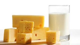 Great News For Cheese Lovers
