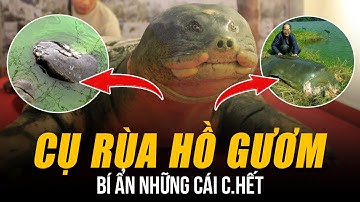 BÍ ẨN NHỮNG CÁI C.HẾT CỦA CỤ RÙA HỒ GƯƠM | TỪNG BỊ DÂN X.Ẻ THỊT VÀ NHỮNG LẦN NỔI LÊN RÙNG MÌNH