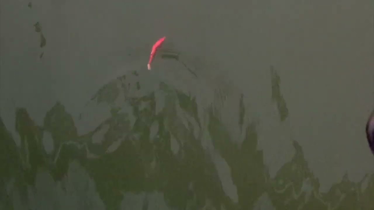 ATTACKLE BAITS - 100% handmade Swimbaits & Cranks - Catching!