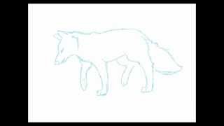 Fox Walk Cycle Test