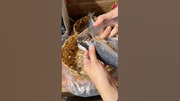 Cá dã tay , đặc sản vùng cao