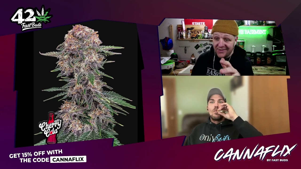 Smoking Cherry Cola and Strawberry Gorilla Fast Buds with THERAPY GROW Podcast