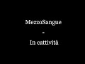 MezzoSangue - In Cattività (TESTO)