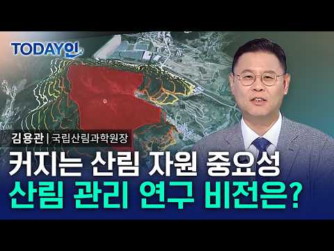 우리나라 국토 <strong>70</strong>% 산림…산림 자원 관리 어떻게? [TODAY인] / YTN 사이언스