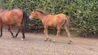 Advert reference - 415615