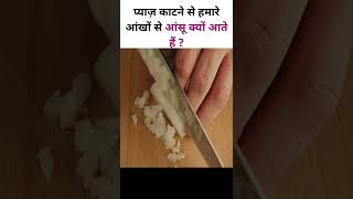 Pyaaz Kaatne Se Hame Rona Kyun Aata Hai?