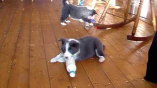 DSCF6150.AVI