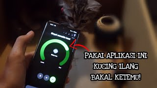 Cara Ampuh Menemukan Kucing Peliharaan yang Hilang! 100% Langsung Ketemu pakai Aplikasi di HP!