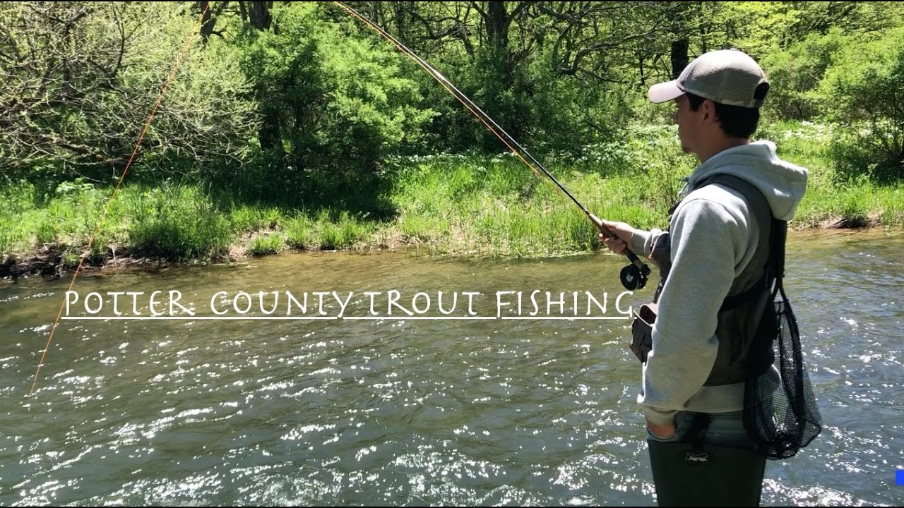 Trout Fishing Potter County PA! (GOOD ACTION) YouTube
