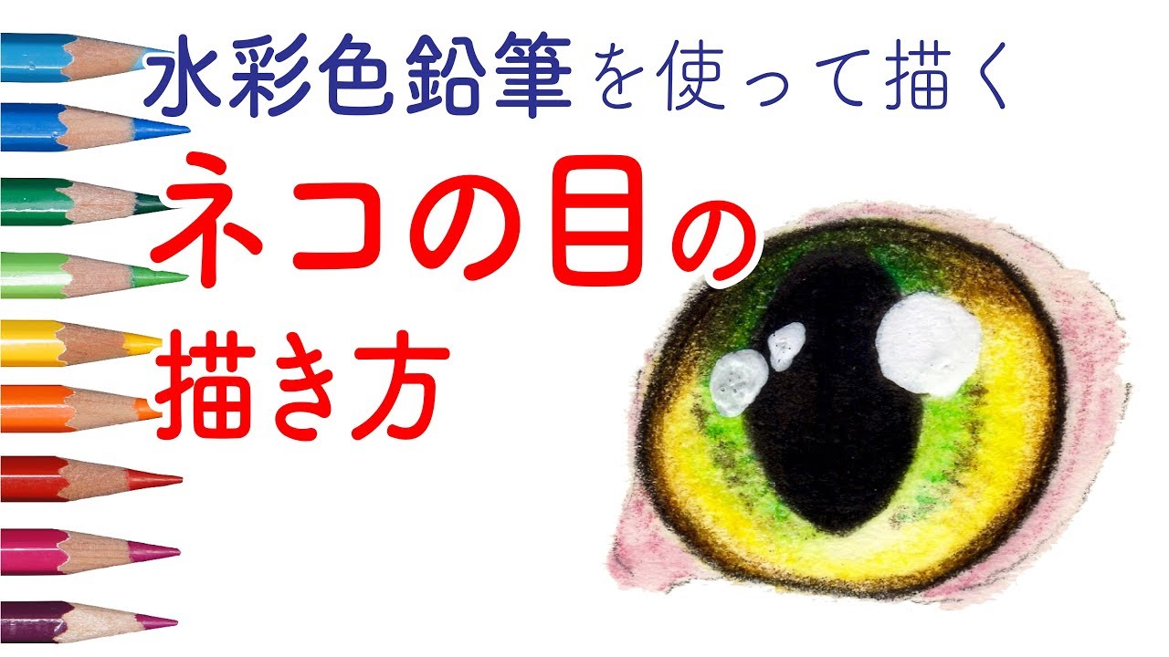 猫の目の描き方 水彩色鉛筆でリアルに描く How To Draw A Cat S Eye In Colored Pencils Youtube