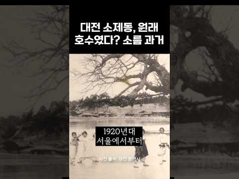 대전 소제동, 원래 호수였다? 소름 과거 ️