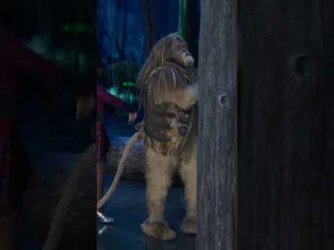 The Upbeat Ease On Down The Road Shorts The Wiz Live 