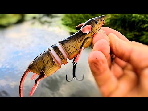 EPIC Pike Fishing with the Savage Gear 3D Rat Lure! (crazy hits