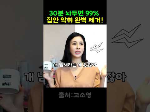 고소영 강추! 고기 냄새부터 댕댕이 냄새까지 싹 잡는 탈취제 #위프탈취제 #반려동물탈취제 #살림템 #고소영 thumbnail