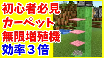 マイクラカーペット無限