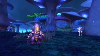[Wow] Elekk Acm: Rasan